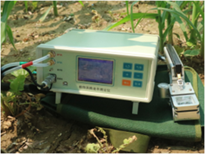 XG-ZT5050植物蒸騰速率測定儀